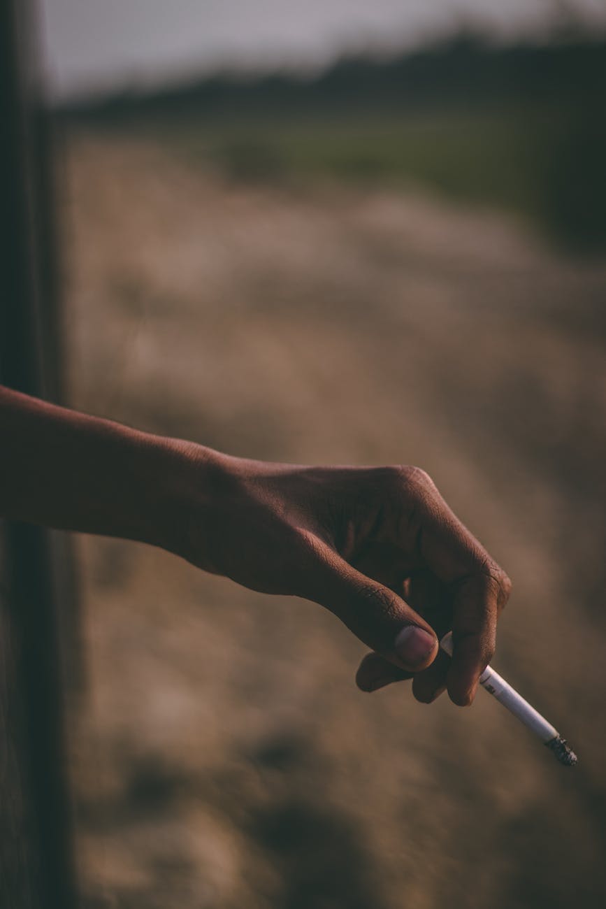 person s left hand holding white cigarette stick